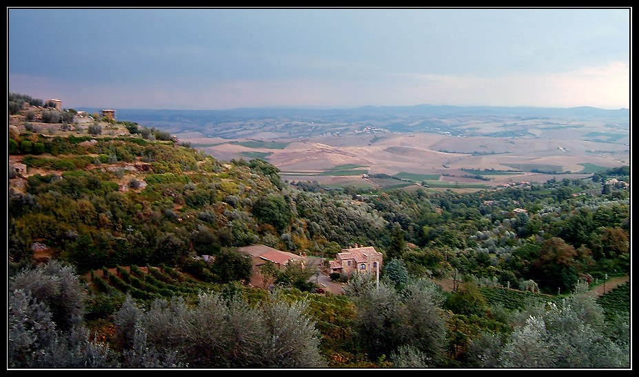 Montalcino 2